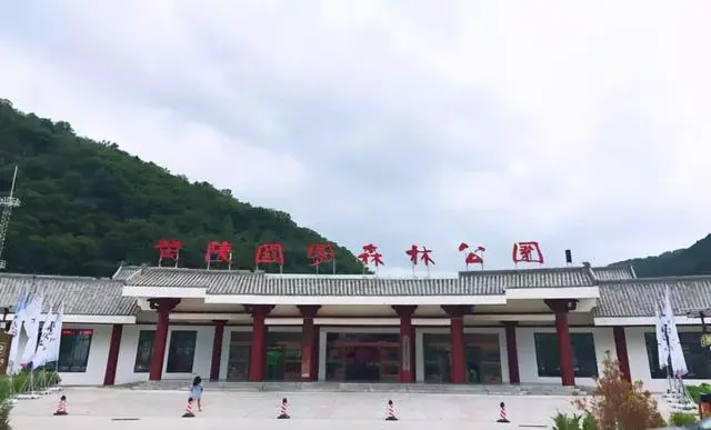 篮球训练心得体会400字左右_2
